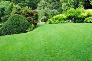 lawn care services on the green inc odenton maryland md