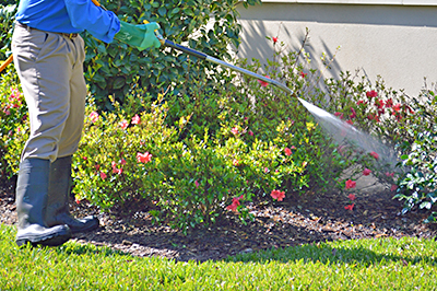 Pest Control in Severn MD - On The Green Lawn Care