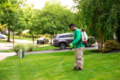 Acelepryn– How to Protect Your Lawn from Grubs, Armyworms, and More on the green inc