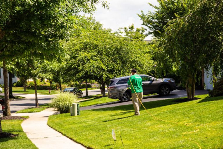 4 End-of-Summer Landscaping Tips on the green inc