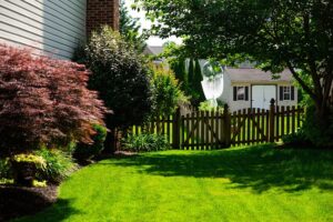 Tree and Shrub Care Services in Severn, MD on the green inc