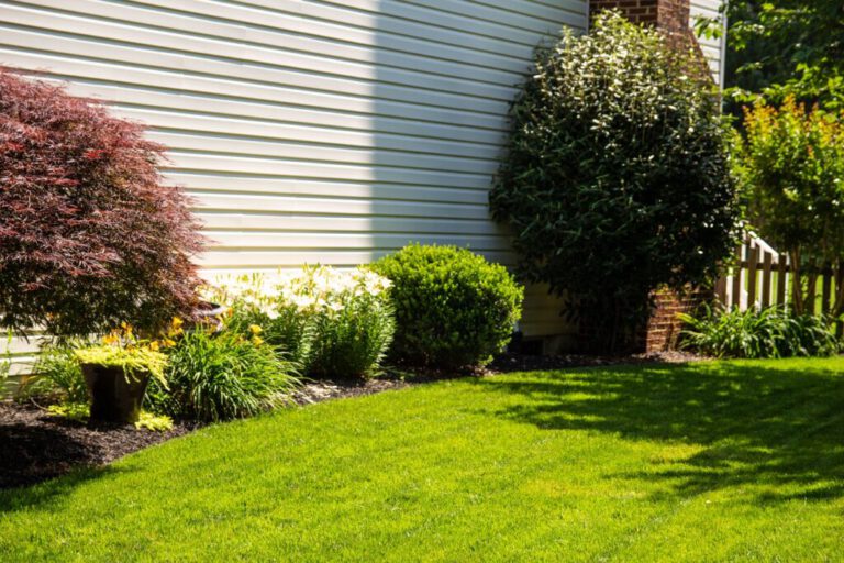 Tree and Shrub Care Services in Severna Park, MD on the green inc
