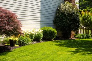 Tree and Shrub Care Services in Odenton, MD on the green inc