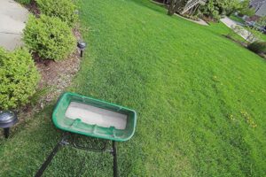 5 Signs Your Lawn Needs Aeration and Seeding on the green inc
