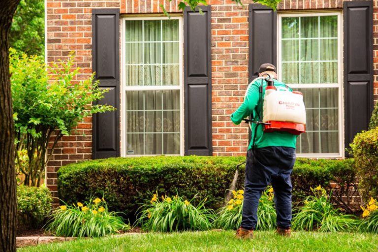 Protecting Your Maryland Property from Grubs on the green inc