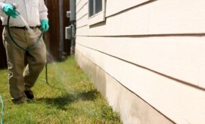 4 Signs You Need Professional Pest Control Services on the green inc