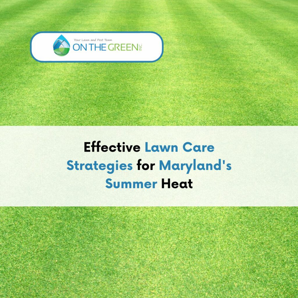 lawn care