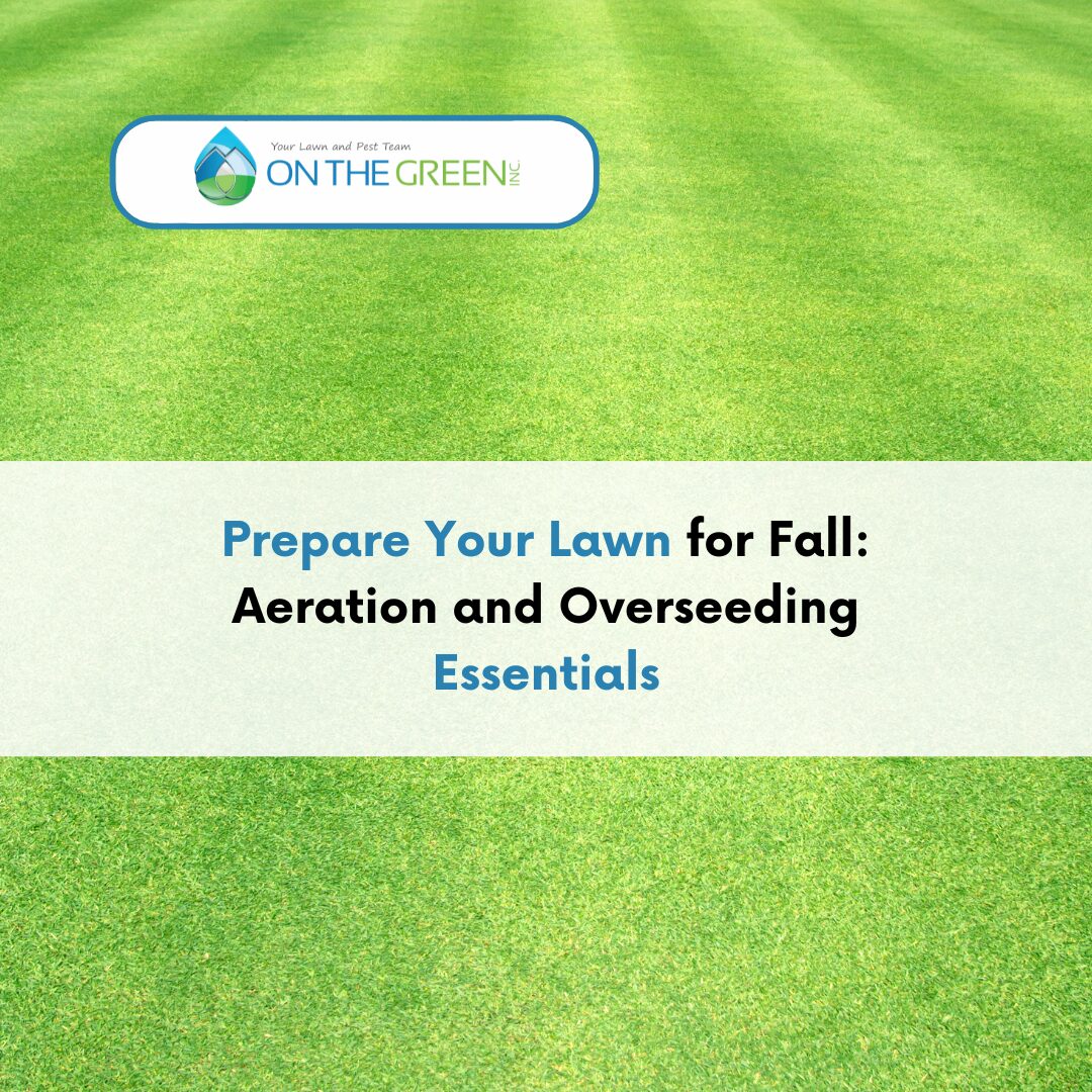 Fall Lawn Revival: Aeration and Overseeding for a Lush Lawn | On The ...