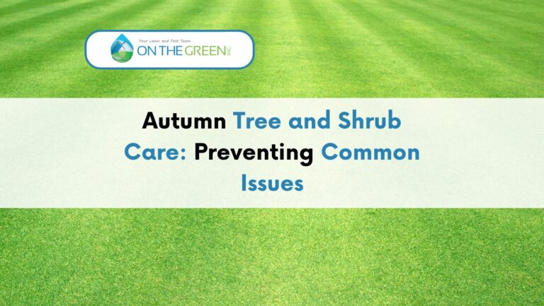 Autumn Tree and Shrub Care: Preventing Common Issues