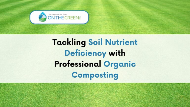 Tackling Soil Nutrient Deficiency with Professional Organic Composting