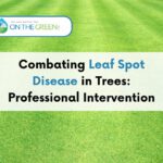 Combating Leaf Spot Disease in Trees: Professional Intervention